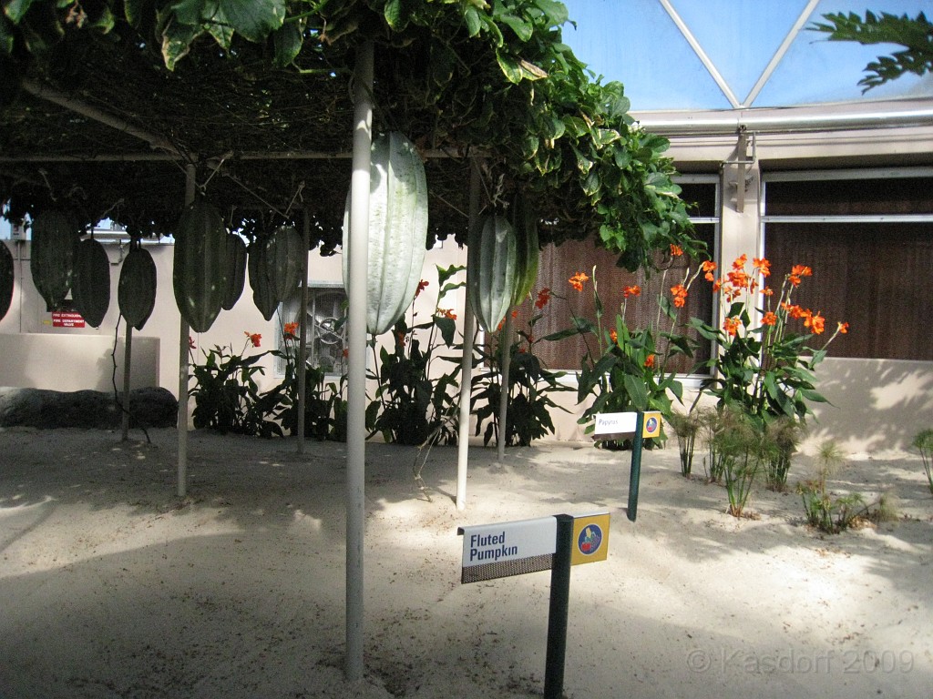 Disney 2010 D3 0420.jpg - January 9-11, 2010 Disney World Florida. Monday, up and ready to roll, took shuttle to Epcot. Caught a couple shows and took a lot of pictures. Finally had to call it a day to get to our plane to go home.